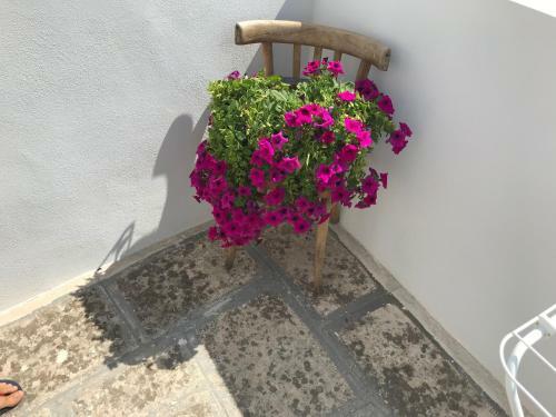 Bed & Breakfast Casa E Bottega