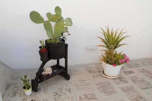 Apartamento Casa Donnalby