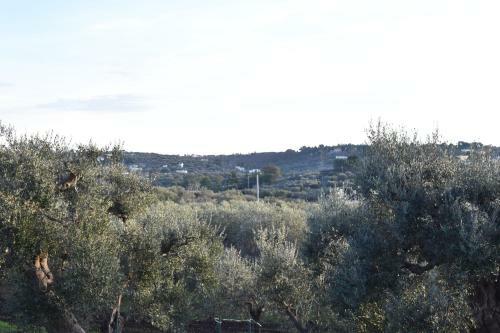 Bed & Breakfast Dimora Sofia