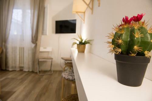 Apartamento Apulianstay- Casa Francesca