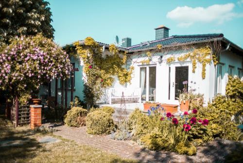 Bed & Breakfast Unter Den Linden