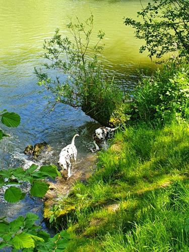 Apartamento Ferienwohnung Zum Wandergl�ck