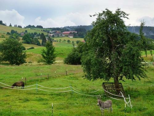 Apartamento Ferienwohnung Hochtalblick