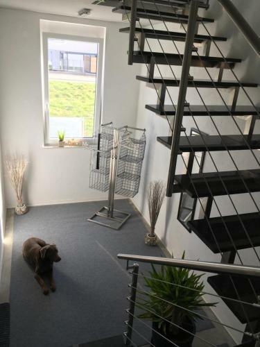 Apartamento Neurieder Unterkunft