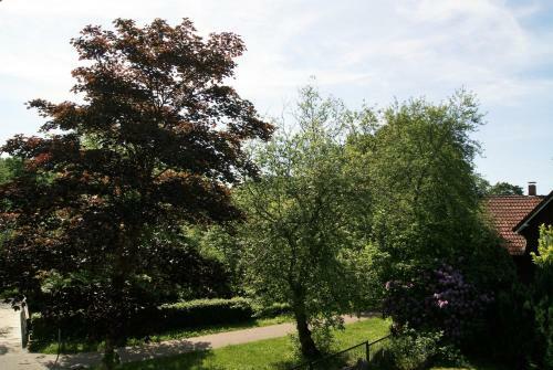 Hotel Nitzschke