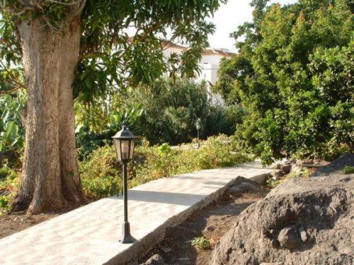 Apartamentos Villa Aurora