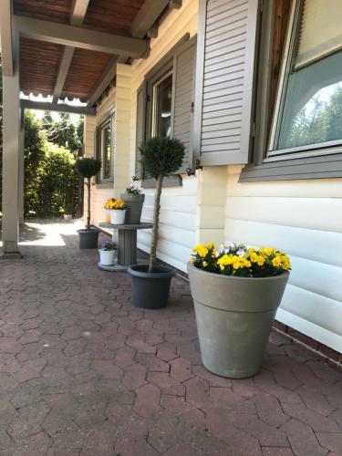Apartamento Moorh�tte