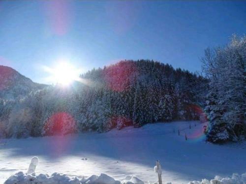 Apartamento Ferienh�uschen