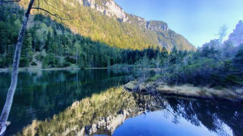 Luxury Unique Homes: Chalets Inzell
