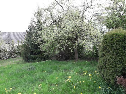 Vakantie Boerderij de Boerenzwaluw
