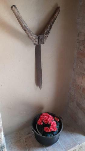 Hostal Il Castello Affittacamere