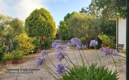 Apartamento Da Celeste A Montegaldella -vi - Italia