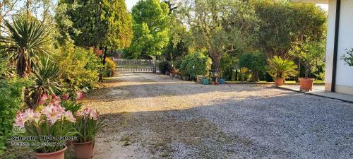 Apartamento Da Celeste A Montegaldella -vi - Italia