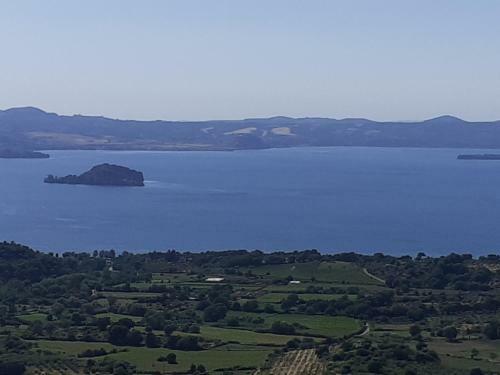 Belvedere