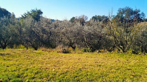 Iorio's Country House