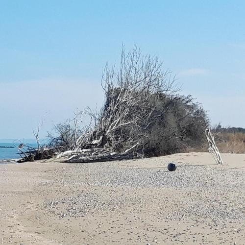 In Collina Sul Mare...
