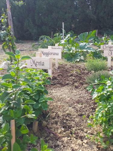 In Collina Sul Mare...