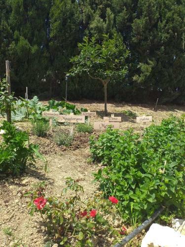 In Collina Sul Mare...