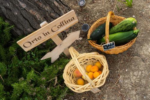 In Collina Sul Mare...