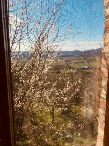 Apartamento Mirabella - Monte Petriolo