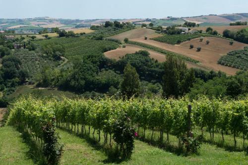 Agroturismo Poggio Montali