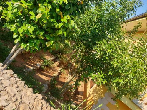 Apartamento Villa Sargheruoli