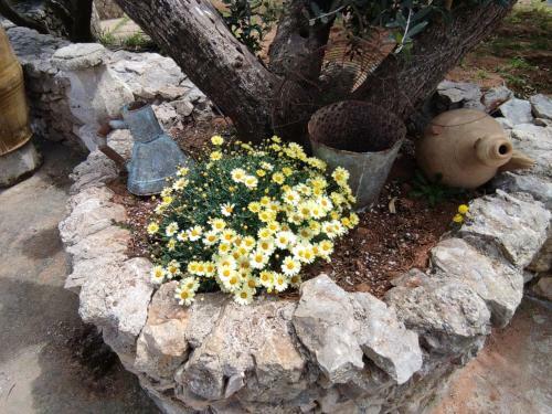 Apartamento Villa Sargheruoli