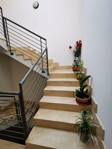 The Home Of The Blues