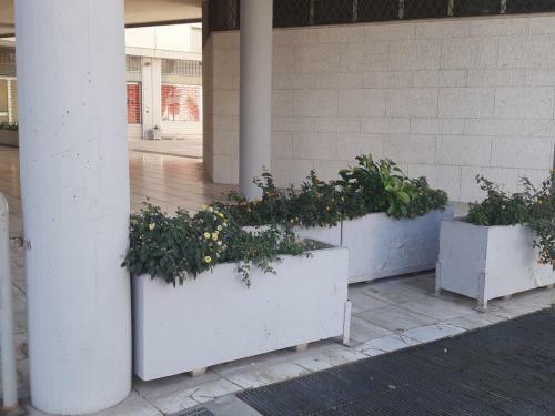 I Fiori Di Lucrezia