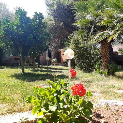 B&B L'amaca Della Felicit�