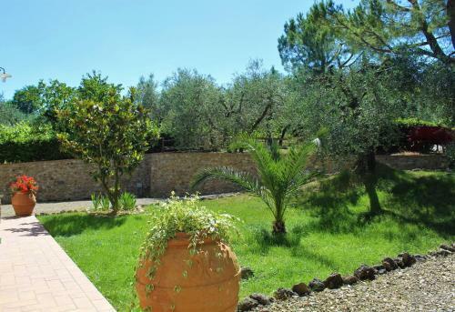 Agroturismo Casa Le Betulle
