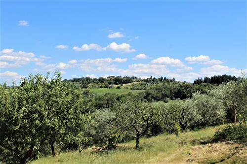 Agroturismo Casa Le Betulle