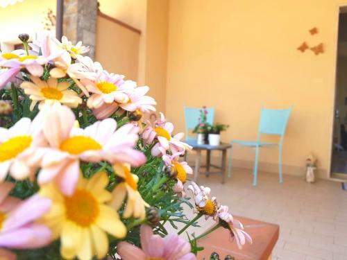 Apartamento Appartamento La Chicchera