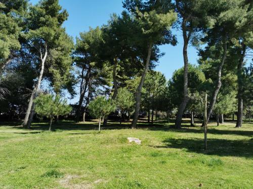 Apartamento Beach House Montesilvano