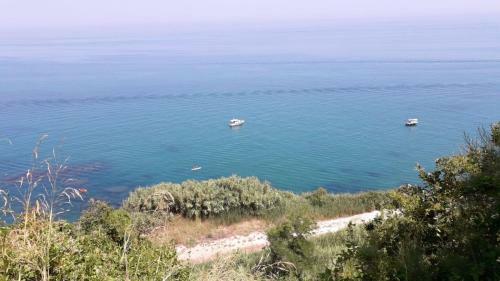 Apartamento Casamare Royal