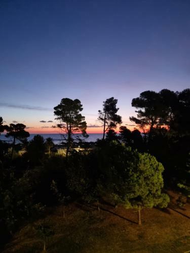 Apartamento Casamare Royal