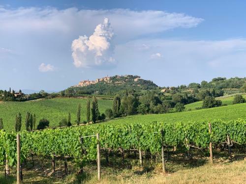 Apartamento S. Bartolomeo Ii� - "la Loggetta"