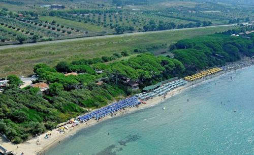 Apartamento Podere Mocai - Cottage Nel Bosco