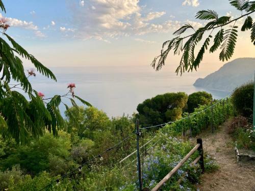 Agroturismo Villa Pietrafiore