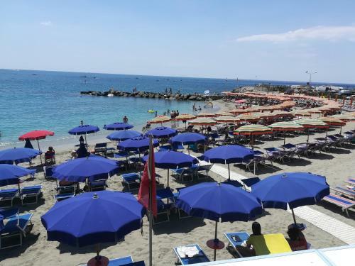 Hostal Albamare