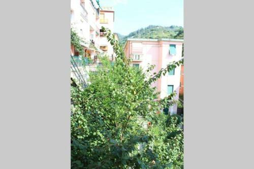 Apartamento Ca Du Rocco - Citra 011019-lt-0343