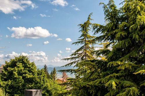 Hostal Alloggio Turistico Luigina