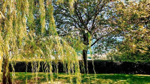 Villa Spoleto Tranquilitapoolslps 20spoleto 15 Mins
