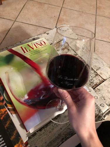 Apartamento La Quiete Tra Le Vigne