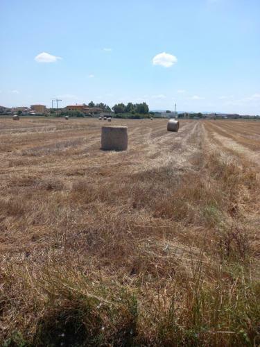 Apartamento La Quiete Tra Le Vigne