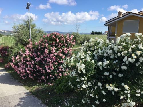 Apartamento Appartamento Sole