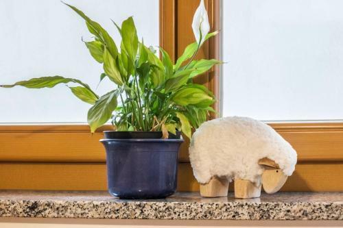 Apartamento Egarthof Ferienwohnung Arnika