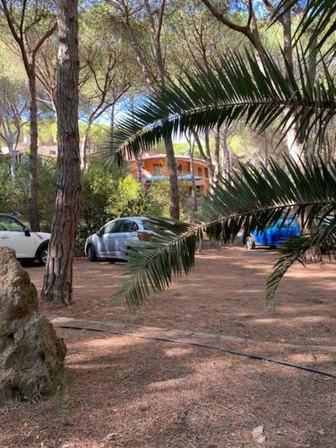 Apartamento Casa Sole