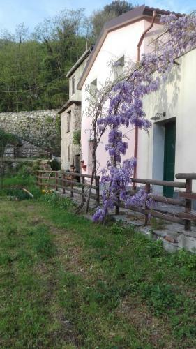 C� Di Gatti Apartment