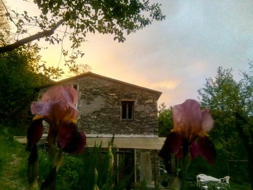 B&B Stefano